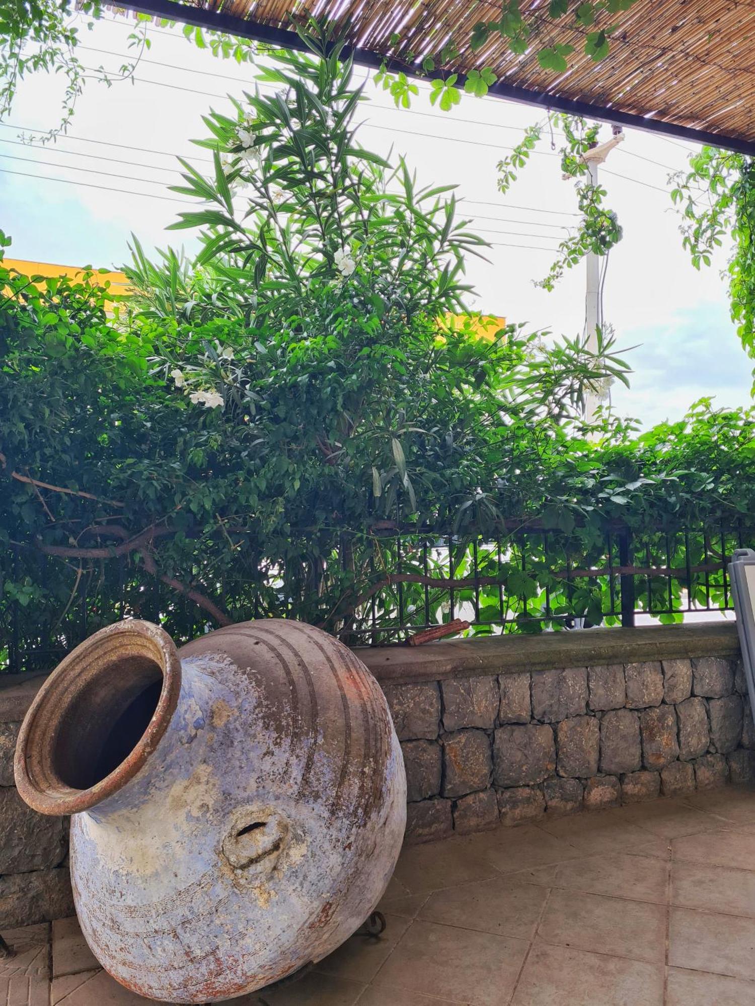 Fora Apart Otel Çeşme Exterior foto